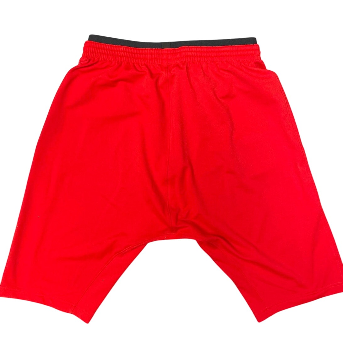 MENS Chicago Bulls Nike Dry Shorts