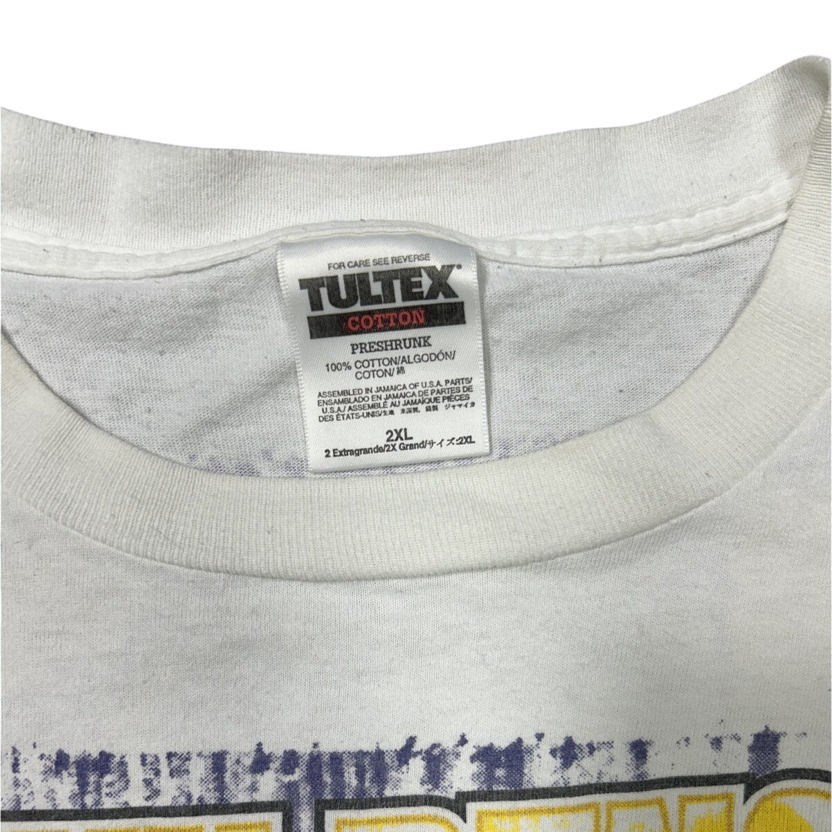 Vintage Tultex 1999 Johnny Benson NASCAR Front/Back Print T-shirt